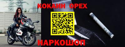 стаф Будённовск
