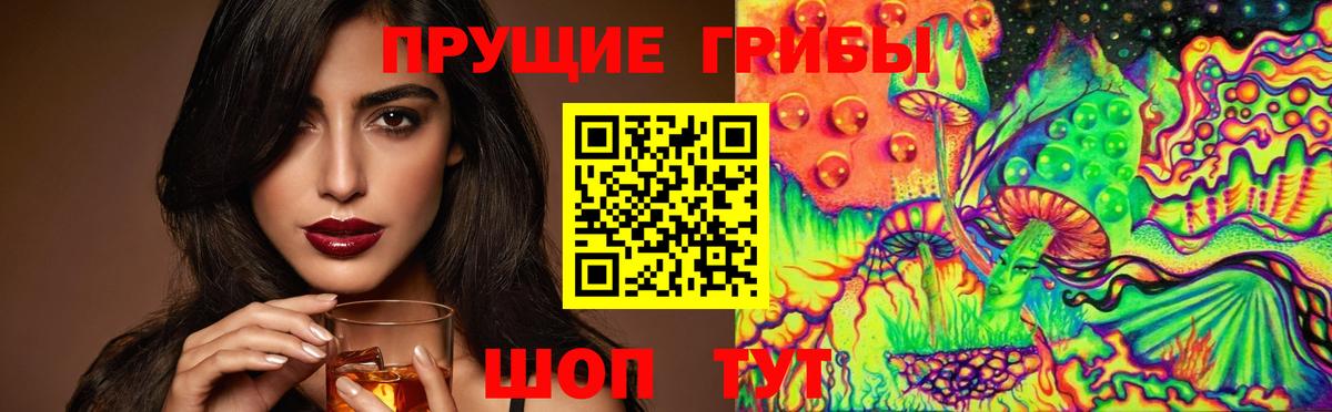 Галлюциногенные грибы GOLDEN TEACHER  как найти закладки  Ступино  Вход с VPN 
